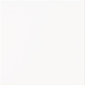 Centraalplaat kd voor 50 x 50 Centraalplaat art-matwit (1746-44M)