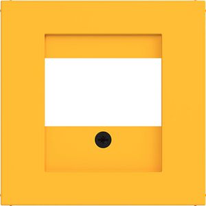 Centraalplaat TAE luidspreker USB A.x/C.x saffron mat