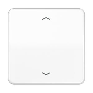 Wip alp.w.m pijl v.KNX F10 tast 1voudig CD500