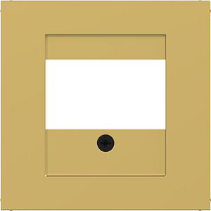 Centraalplaat TAE luidspreker USB A.x/C.x gold metalic