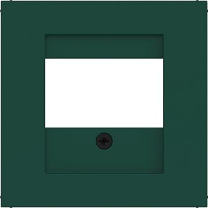 Centraalplaat TAE luidspreker USB A.x/C.x jade halfglanzend