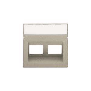 Centraalplaat data 2x RJ schuine uitgang champagne coated