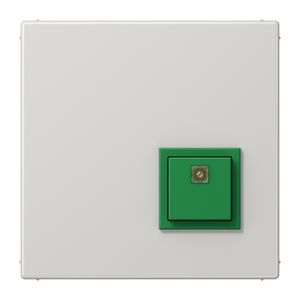 Nood afzetknop LS990 Licht grijs