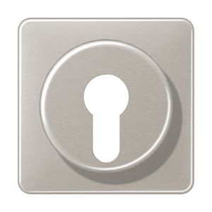 Afdekking platina v. sleutelschakelaar CD500