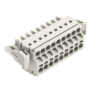 2-draads FE steker 2,5mm² li.grijs 721-2109/037-000 VVE=25