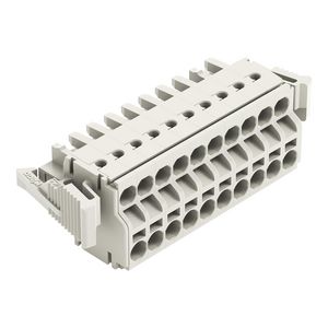 2-draads FE steker 2,5mm² li.grijs 721-2110/037-000 VVE=25
