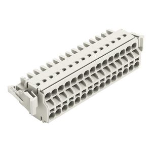 2-draads FE steker 2,5mm² li.grijs 721-2115/037-000 VVE=10