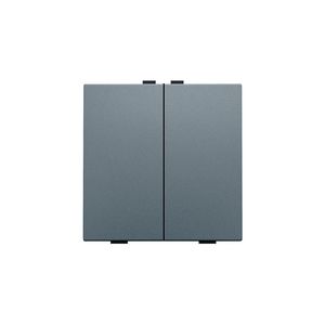 2-voudige drukknop Home Control blue grey coated