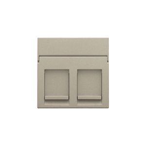 Centraalplaat data 2x RJ champagne coated