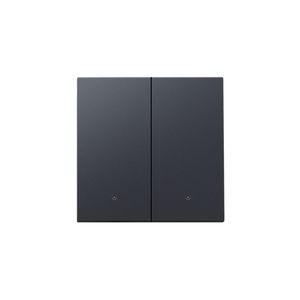 Afwerkingsset lens dubbele elektr. schakelaar/knop antracite