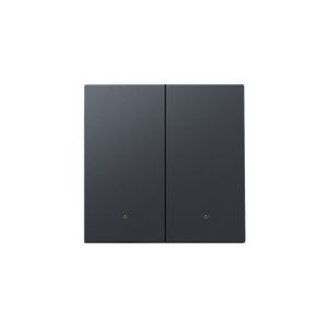 Afwerkingsset lens dubbele elektr. schakelaar/knop antracite