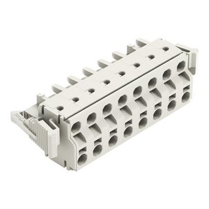 2-draads FE steker 2,5mm² li.grijs 721-2208/037-000 VVE=25