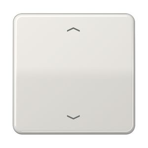 Wip lg.met pijl v.KNX F10 tast 1voudig CD500