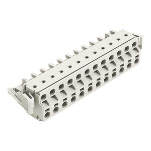 2-draads FE steker 2,5mm² li.grijs 721-2212/037-000 VVE=10