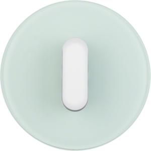 Afdekplaat met knevel berker R.classic glas polarwit