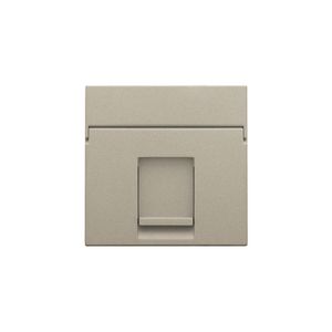 Centraalplaat data 1x RJ champagne coated