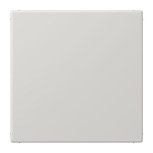 Afdekking lichtgrijs blind LS990