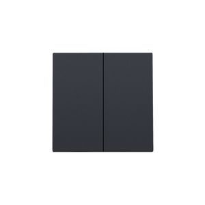Afwerkingsset dubbele elektr. schakelaar /knop anthracite