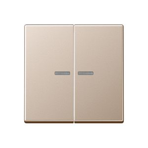 Tastafdekking 2voudig A500 champagne KNX RF