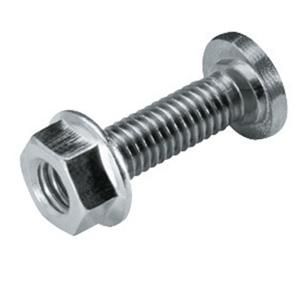 BOUT TRL-M6 x 16-GETANDE MOER-AFWERKING INOX 316L VVE=100