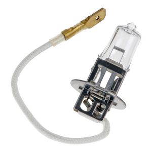 Voertuiglamp PK22s H3 12V 100W helder VVE=10