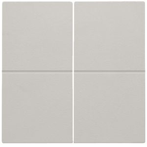 2-voudige toets RF dimschakelaar Hue BT EnOcean KNX l.grey