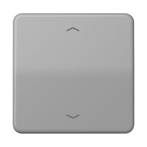 Wip gr.met pijl v.KNX F10 tast 1voudig CD500