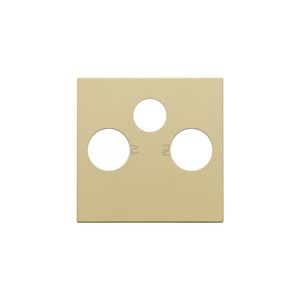 Afwerkingsset 2 enkelvoudige coaxaans. TV/FM/Satt. gold