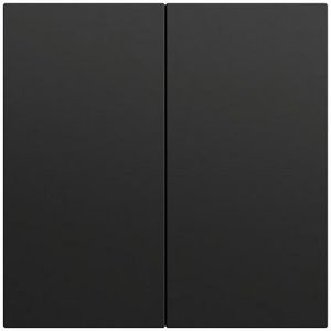 S3000 bedieningselement-opzetstuk 2-voudig System 70 zwart m(gel.)
