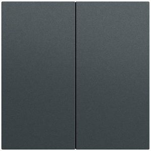 S3000 bedieningselement-opzetstuk 2-voudig System 70 antracit(gel.)