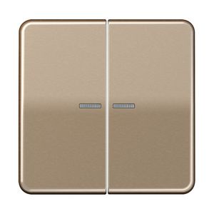 Tastafdekking 2voudig CD500 goudbrons KNX RF