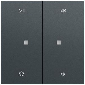 Wip 2-voudig audiobest. System 70 antracit(gel.)