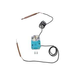 Thermostaat 0020202848