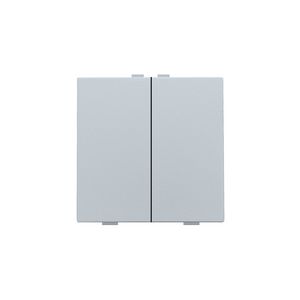 2-voudige drukknop Home Control sterling