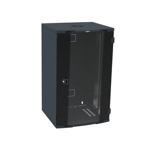 Wandkast 100x60x58 21HE 19inch