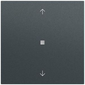 S3000 bedieningselement-opzetstuk BT pijlen System 70 antracit(gel.)