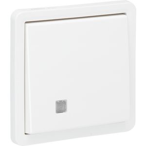 Spuitwaterdichte 2pol controlesch.10AX/250Vac insteek wit