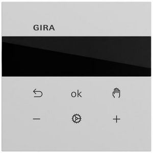 S3000 ruimtetemperatuurregelaar Display System 70 gris m(gel.)