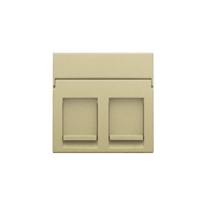 Centraalplaat data 2x RJ gold coated
