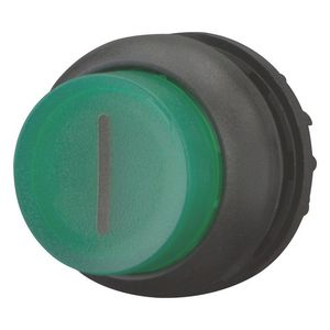 Signaaldrukknop hoog groen I terugverend