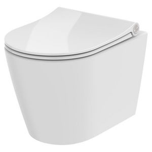 Wandcloset combipack Trend 520mm circular flush incl. closetzitting Sway D2