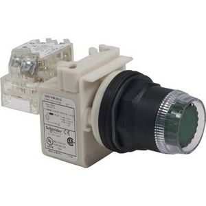 Drukknop Verlicht 30mm 600V AC 10A Groen/Harmony 9001S