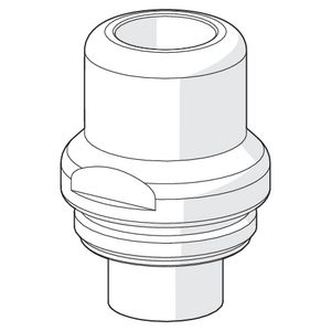 Spindellichaam