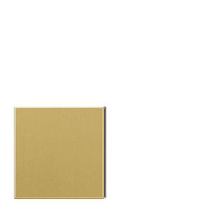 Tastafdekking lo/rb LS messing klassiek KNX