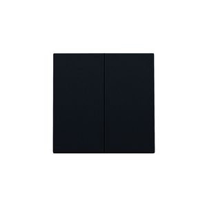 Afwerkingsset dubbele elektr. schakelaar /knop black