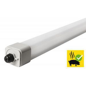 DINO FARM 53W 4000K 150CM