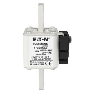 Zekering h. snelheid 125A AC 690V 200kA compact 1 45x VVE=6