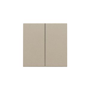 Afwerkingsset dubbele elektr. schakelaar /knop champagne