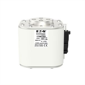 Zekeringelement FUSE 2200A 1250V 4BKN/110 AR