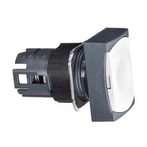 Kop voor rechthoekige drukknop Terugvering Ø16mm Wit